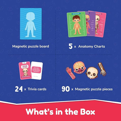 Bloomingo Learning Kit | Super Human Body | Discover the Human Body With Fun Magnetic Puzzles