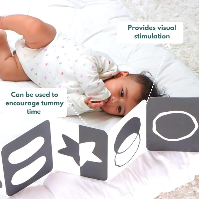 Curious Cub Montessori Learning Wooden Toys