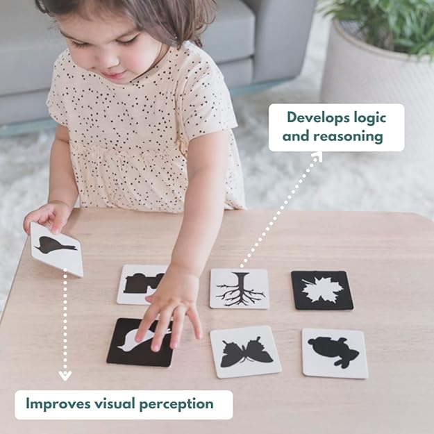 Curious Cub Montessori Learning Wooden Toys | Box 10 Brain Development Problem/puzzle Solving | Hand-eye Coordination