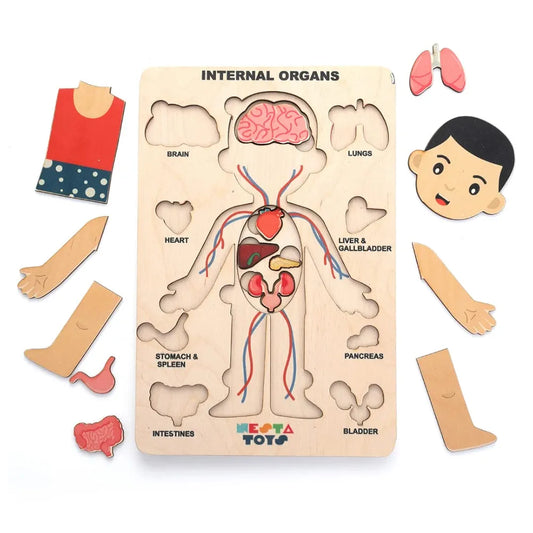 NESTA TOYS Montessori Learning Wooden Puzzle | Human Body Anatomy Puzzle for Kids  | Gift for Boys & Girls Ages 3 4 5 6 Years