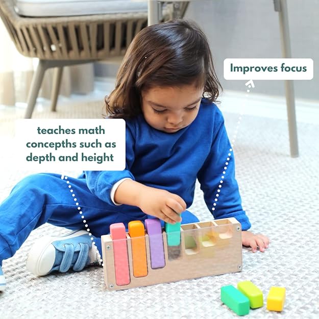 Curious Cub Montessori Learning Wooden Toys | Box 10 Brain Development Problem/puzzle Solving | Hand-eye Coordination