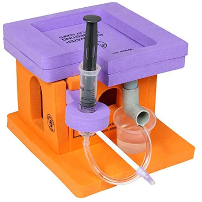 Butterfly EduFields Rainwater Harvesting Science Experiment Kit For Kids 10 Years+ | Roof Drain & Mini Water Pump School Science Exhibition Project Kit | Learning & Educational Diy Stem Toy