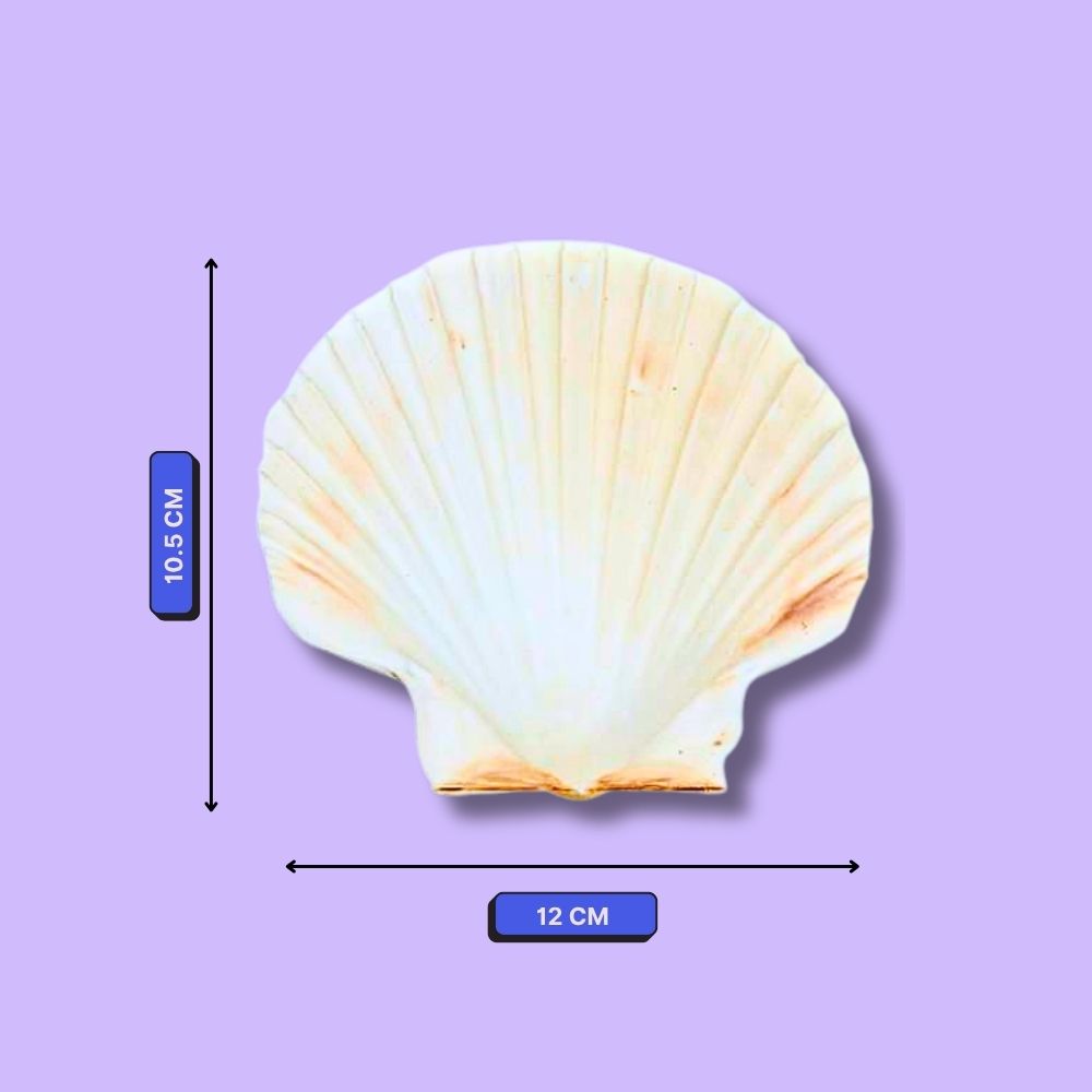 DIY Shell Candle Kit