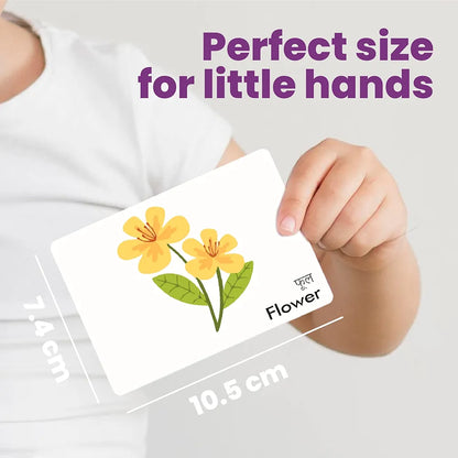The Curious Bees - Everyday Objects | 36 Laminated Anti-Glare Cards | Montessori Inspired Fun & Easy to Learn Toys for Kids