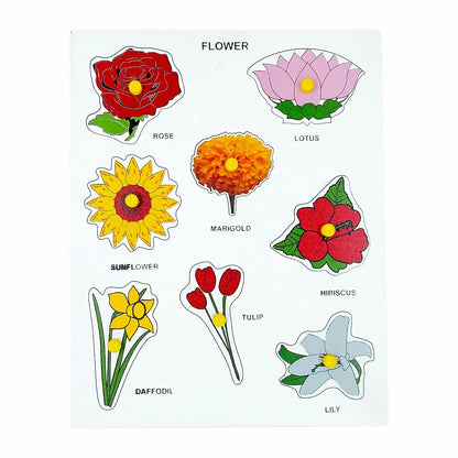 Tantrums Preschool Wooden Educational Puzzle for Kids Learning Helpful in Developing Hand Eye Concentration and Motor Skills with Self-Correcting Match 