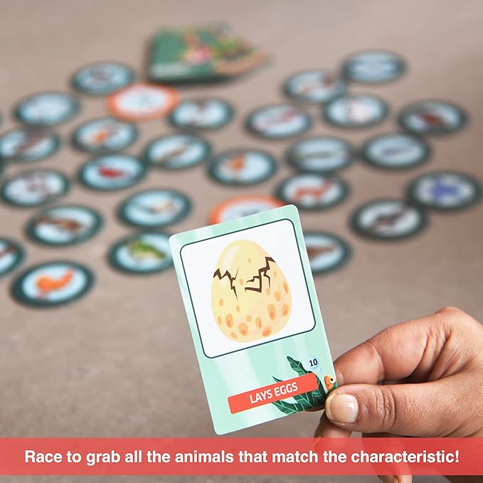 Chalk and Chuckles Educational Game - Eye See Animal World | Super Fun Learning Toys for Kids