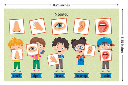 Cognitive Skills Flash Cards for Kids Early Learning Reusable 16 Flashcards for 3+ Years| Improve The Mental Skills | Fun & Easy Learning Way for Preschoolers | Wipe & Clean Marker Pen