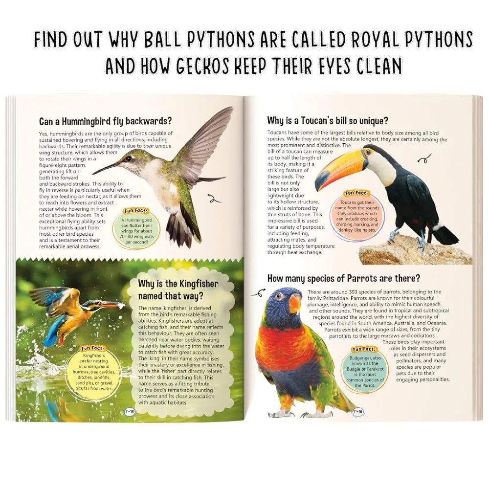 Majestic Book Club’s Big Book of Animals – 365 Fascinating Animal Facts for Kids  | Fun & Educational Wildlife Encyclopedia