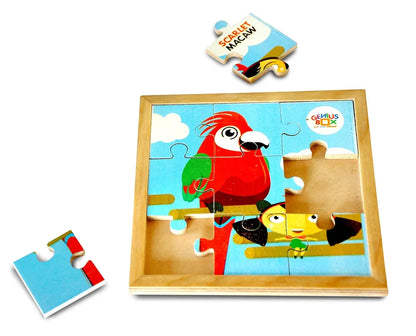 Genius Box - Play Some Learning Activity Kit For 3+ Year Age: Nature Explorer Diy, Educational Toy, Learning Kit, Educational Kit, Stem Toy