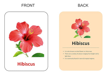 Gurukanth® Premium Flowers Flash Cards for Kids Early Learning | Easy & Fun Way of Learning 1 Year to 6 Years Babies Smart Toys