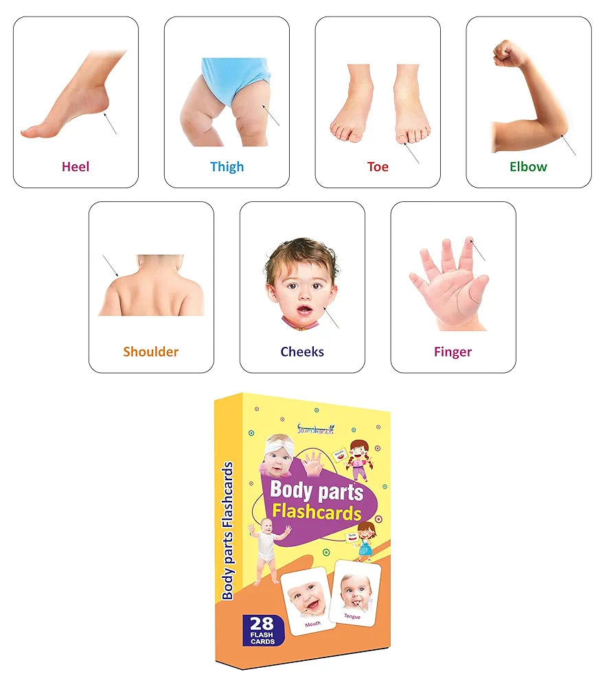 Gurukanth® Premium Parts of The Body Flash Cards for Kids Early Learning | Easy & Fun Way of Learning 1 Year to 6 Years Babies Smart Toys