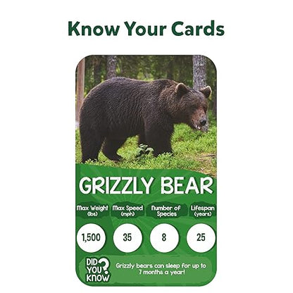 Skillmatics Trump Card & Board Game Rank & Roll Animals Memory Strategy Game