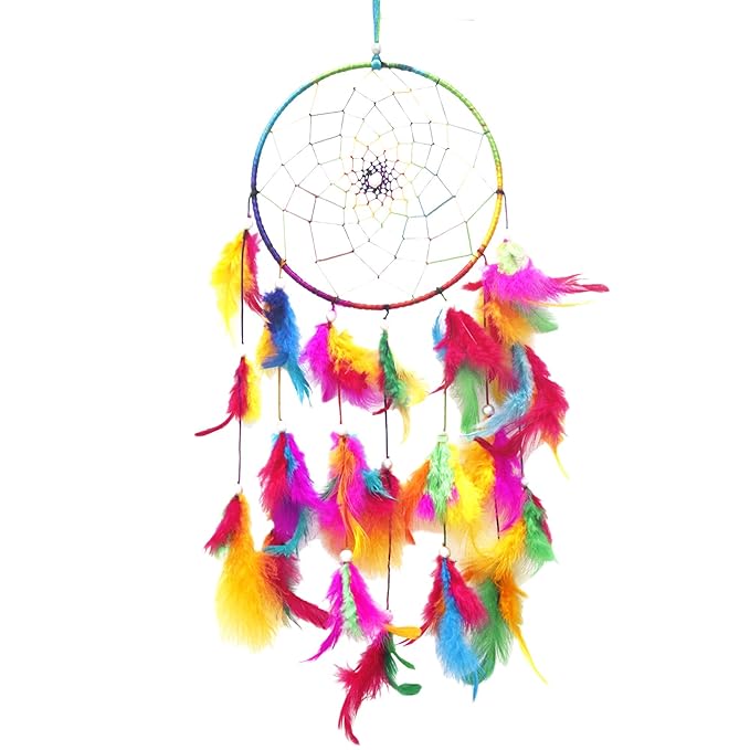 Asian Hobby Crafts Dream Catcher Wall Hanging | Multicolour