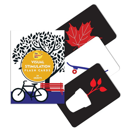 The Curious Bees - Visual Stimulation New Born Anti-Glare Cards | 24 Objects for Visual Colour Stimulation, Cognitive & Sensory Development of 6-12 Month Old Kids