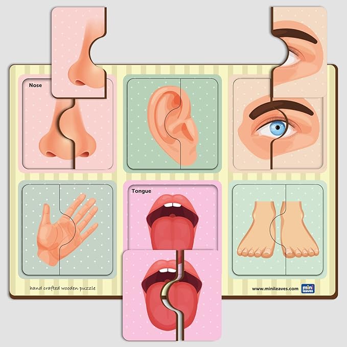 Mini Leaves 2 Piece Wooden Puzzle for Kids Set of 6 | Human Body Parts Jigsaw Puzzle | Educational Toys for Kids