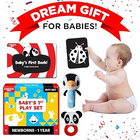 Einstein Box Gift Set for Babies and Newborns ages High Contrast Flash Cards