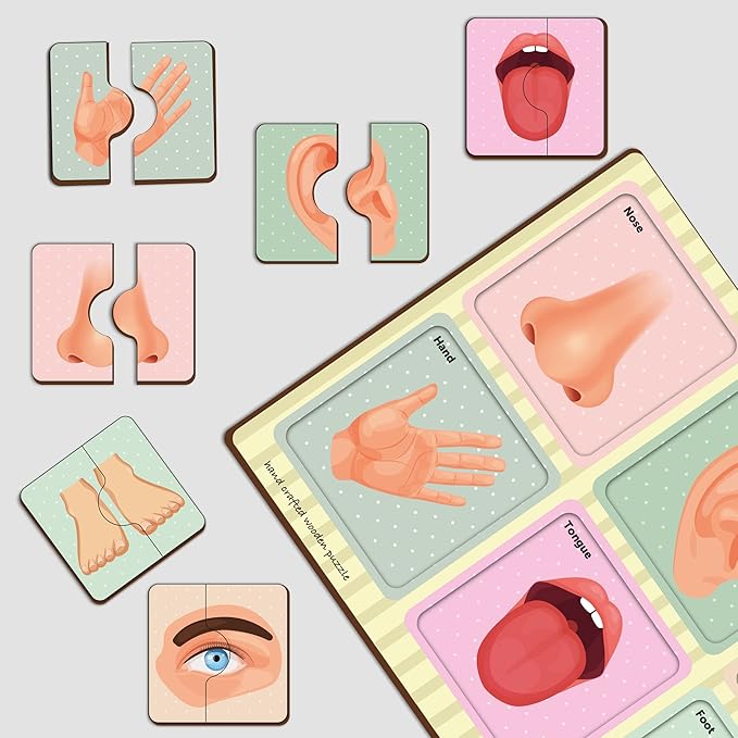 Mini Leaves 2 Piece Wooden Puzzle for Kids Set of 6 | Human Body Parts Jigsaw Puzzle | Educational Toys for Kids