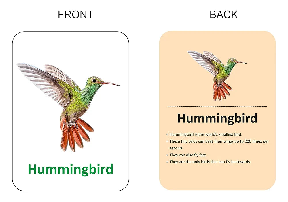 Gurukanth® Premium Birds Flash Cards for Kids Early Learning | Easy & Fun Way of Learning 1 Year to 6 Years Babies Smart Toys