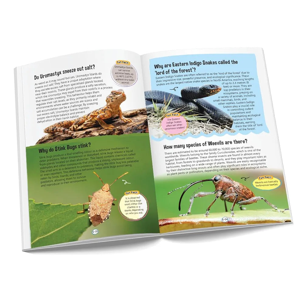 121 Reptiles, Insects & Birds Facts Book for Kids Ages 8+ | Educational Paperback with Colourful Images & Bold Text | 121 Curious Facts for All Ages by Majestic Book Club