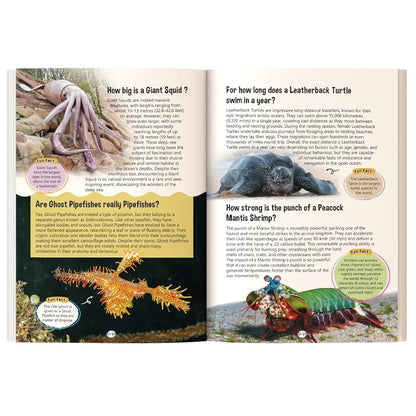121 Wild & Marine Animals Facts Book for Kids Ages 8+ | Educational Paperback with Colourful Images & Bold Text | 121 Curious Facts for All Ages by Majestic Book Club