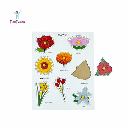 Tantrums Preschool Wooden Educational Puzzle for Kids Learning Helpful in Developing Hand Eye Concentration and Motor Skills with Self-Correcting Match 