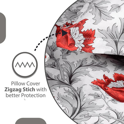 Divine Casa 144 TC 100% Cotton Bedsheet for Single Bed with 1 Pillow Cover Scarlet Colour Grey