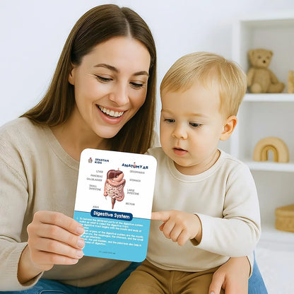 SPARTAN KIDS® Human Organs Flash Cards | Early Learning 4D Technology Flash Cards for Kids | 27 Augmented Reality Cards for Kids 3+ Years