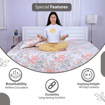 Divine Casa 144 TC 100% Cotton Bedsheet for Single Bed with 1 Pillow Cover Colour Peach Blush
