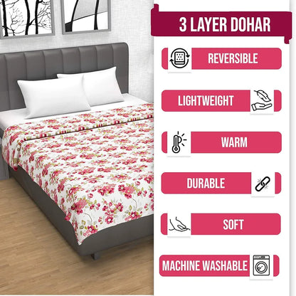Divine Casa Floret 100% Cotton Single Dohar 120 GSM Soft & Lightweight Throw Blanket Colour Rosy Retreat