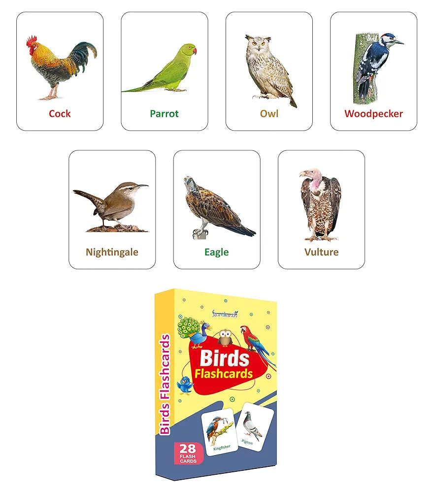 Gurukanth® Premium Birds Flash Cards for Kids Early Learning | Easy & Fun Way of Learning 1 Year to 6 Years Babies Smart Toys