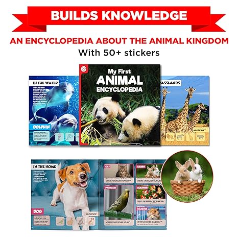 Einstein Box Featuring Disney Gift Toys for Kids Learning and Educational Toys