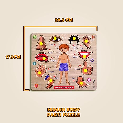 Highroof Body Part Puzzle Kids Wooden Toys For Kids 3 + Jigsaw Puzzles For Adults Baby Learning Toys