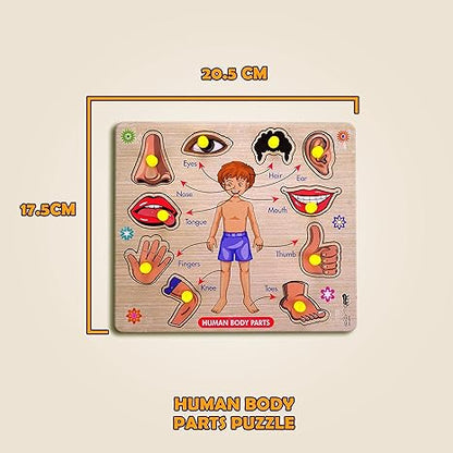 Highroof Body Part Puzzle Kids Wooden Toys For Kids 3 + Jigsaw Puzzles For Adults Baby Learning Toys
