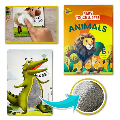 The Curious Bees - Animals Touch & Feel Sensory Cards | 12 Animals & 6 Textures to Enhance Sensory, Cognitive, Spatial & Hand Eye Co-Ordination Skill Development