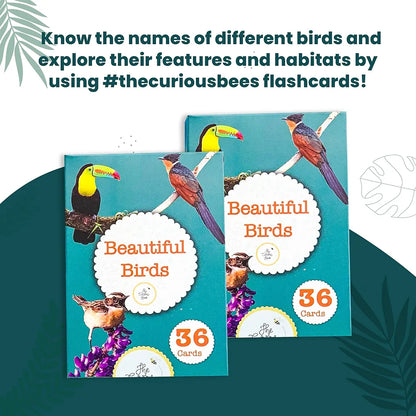 The Curious Bees - Beautiful Birds Flash Cards | 36 Laminated Cards for Kids | Age Group: 2-4 Years | Ideal for Early Learning at Home, Pre School and as a Fun Education Activity
