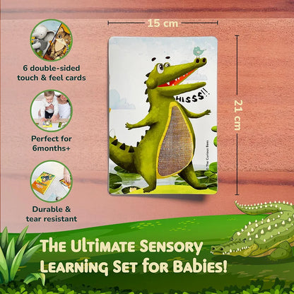 The Curious Bees - Animals Touch & Feel Sensory Cards | 12 Animals & 6 Textures to Enhance Sensory, Cognitive, Spatial & Hand Eye Co-Ordination Skill Development