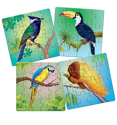 Frank Exotic Birds Animal Kingdom - A Set of 4 Jigsaw Educational Puzzle for Focus and Memory - 11606