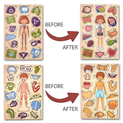 Zudo Wooden Montessori Educational Pre School Puzzle Board Toy for Boys and Girls Wooden Body Parts