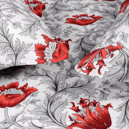 Divine Casa 144 TC 100% Cotton Bedsheet for Single Bed with 1 Pillow Cover Scarlet Colour Grey