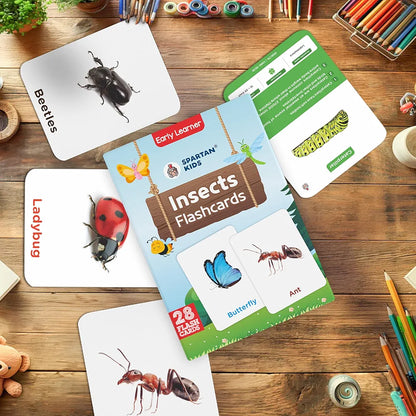 SPARTAN KIDS® Insect Flash Cards for Kids | 28 Early Learning Flash Cards Easy & Fun Way of Learning 1 Year to 6 Years Babies
