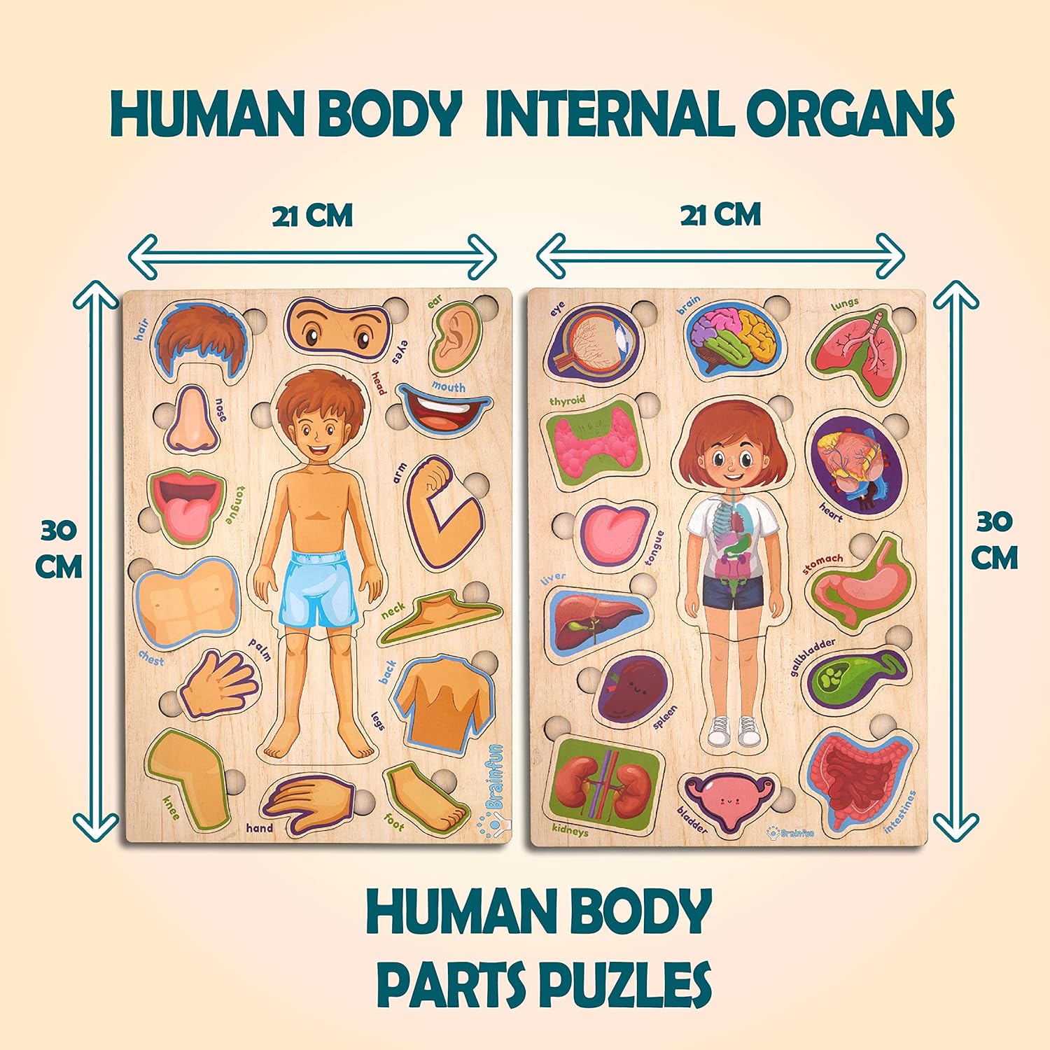 Zudo Wooden Montessori Educational Pre School Puzzle Board Toy for Boys and Girls Wooden Body Parts