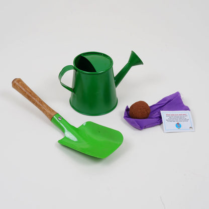 Fine Motor Skills Box (0-1 Year)