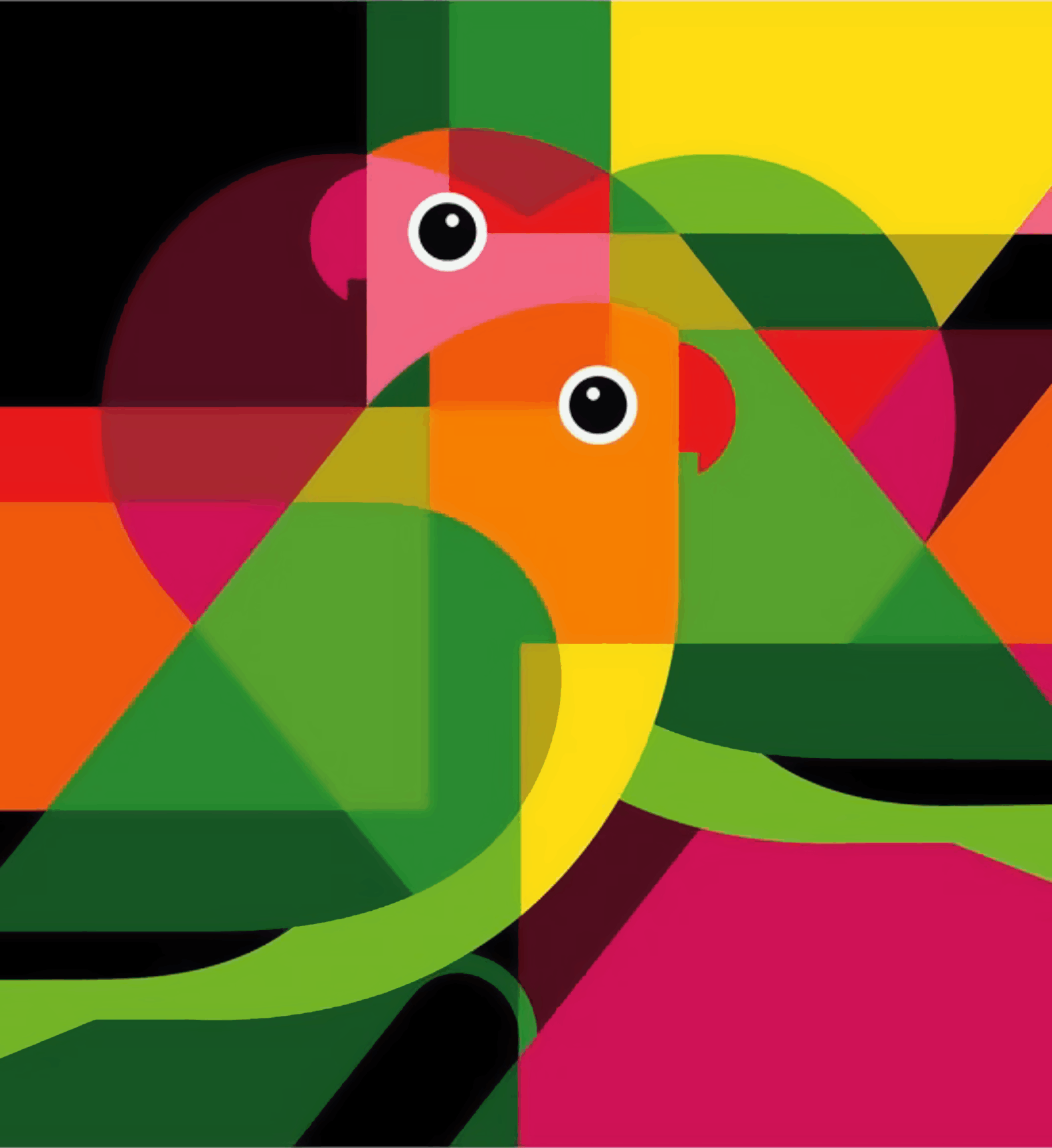 Parrots Coloring Artwork