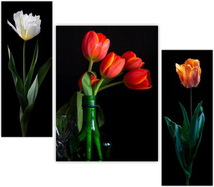 Set Of 3 Digital Wall Painting