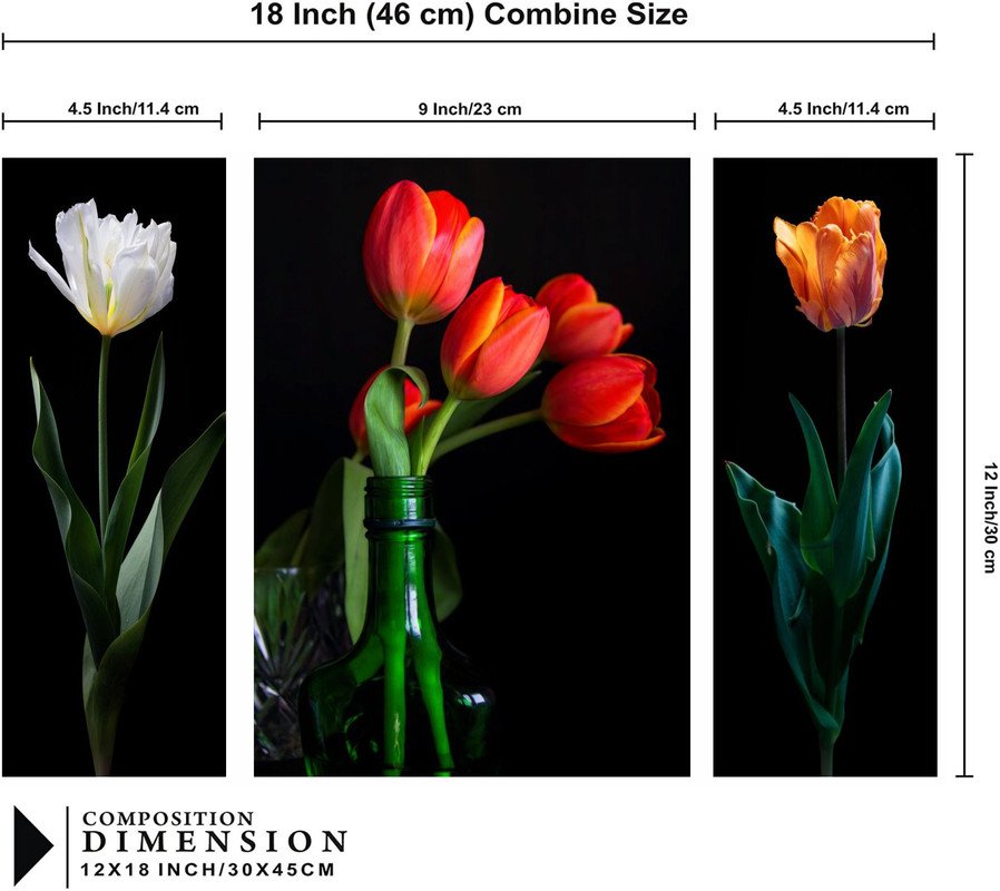 Set Of 3 Digital Wall Painting