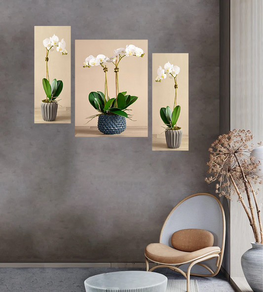 Set Of 3 Digital Wall Painting