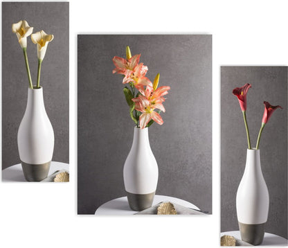 Set Of 3 Digital Wall Painting