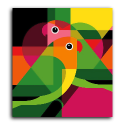 Parrots Coloring Artwork