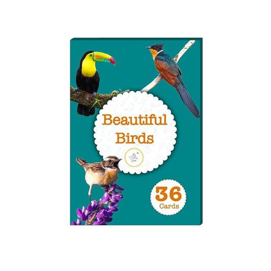 The Curious Bees Beautiful Birds Flash Cards 36 Laminated Cards for Kids