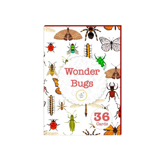The Curious Bees Wonder Bugs 36 Laminated Anti-Glare Cards